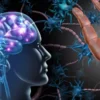 A breakthrough drug shows promise in repairing nerve damage, restoring vision, and improving brain function. Explore its impact through a holistic lens.