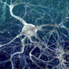 Gene Therapy Slows Huntington’s Disease by 75% in Human Trial—Hope at Last?