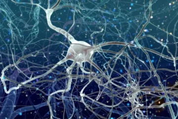 Gene Therapy Slows Huntington’s Disease by 75% in Human Trial—Hope at Last?