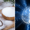 Study Reveals This Popular Sweetener Damages the Brain’s Protective Barrier