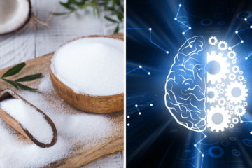 Study Reveals This Popular Sweetener Damages the Brain’s Protective Barrier