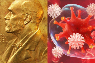 Scientists Awarded Nobel Prize for Discovering How to Stop Your Immune System from Attacking You