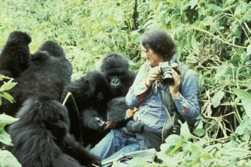 'Her behaviour could be extreme': The woman who gave her life to save the gorillas