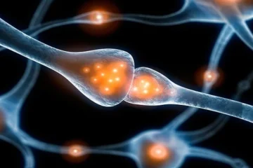 Stanford Scientists Just Successfully Reversed Autism Symptoms