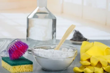 Natural, Non-Toxic Bathroom & Toilet Cleaning