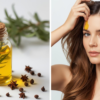 Rosemary and Clove Hair Oil: The Ancient 3-Ingredient Remedy People Use for Thicker, Stronger Hair