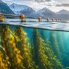 Norway’s Seaweed Revolution Could Ocean-Grown Kelp Help Capture Carbon and Power a Cleaner Future