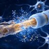 New Molecule Shows Promise for REBUILDING MYELIN and Restoring Nerve Function in MS