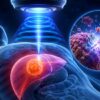 FDA Authorizes a “Sound-Wave” System That Can Destroy Liver Tumors Without Incisions