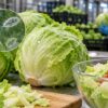 Nearly 13,000 Americans Got Sick After Eating Lettuce—Could It Happen Again?