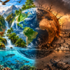 wildlife population decline