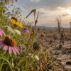 The World Is Running Out of Insects — And Scientists Warn the Consequences Could Be Devastating