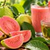 The Tropical Fruit That Puts Oranges to Shame. Why Aren't More People Eating Guava?
