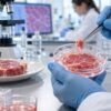 Lab-Grown Meat Has Already Been Sold in America—But How Many Consumers Know What They're Eating?