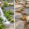 Stop Wasting Money on Garden Products? 10 Surprising Ways to Use Baking Soda in Your Garden